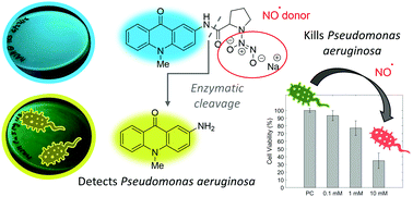 Graphical abstract: Fluorescent nitric oxide donor for the detection and killing of Pseudomonas aeruginosa