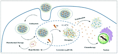 Graphical abstract: Multipronged design of theranostic nanovehicles with endogenous and exogenous stimuli-responsiveness for precise cancer therapy