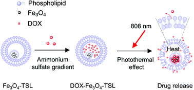 Graphical abstract: Magnetic liposomes for light-sensitive drug delivery and combined photothermal–chemotherapy of tumors