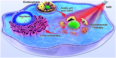 Graphical abstract: Cap-free dual stimuli-responsive biodegradable nanocarrier for controlled drug release and chemo-photothermal therapy