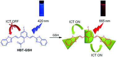 Graphical abstract: Development of a near-infrared ratiometric fluorescent probe for glutathione using an intramolecular charge transfer signaling mechanism and its bioimaging application in living cells