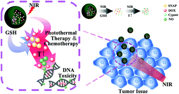 Graphical abstract: Near-infrared light-mediated and nitric oxide-supplied nanospheres for enhanced synergistic thermo-chemotherapy
