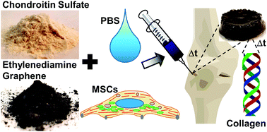 Graphical abstract: Injectable amine functionalized graphene and chondroitin sulfate hydrogel with potential for cartilage regeneration