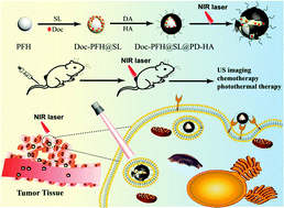 Graphical abstract: Hyaluronic acid and polydopamine functionalized phase change nanoparticles for ultrasound imaging-guided photothermal-chemotherapy