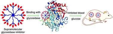 Graphical abstract: Supramolecular azasugar clusters based on an amphiphilic fatty-acid-deoxynojirimycin derivative as multivalent glycosidase inhibitors
