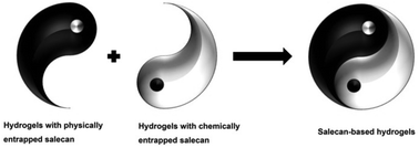Graphical abstract: Salecan polysaccharide-based hydrogels and their applications: a review