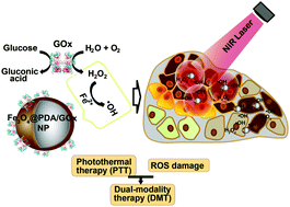 Graphical abstract: Glucose oxidase and polydopamine functionalized iron oxide nanoparticles: combination of the photothermal effect and reactive oxygen species generation for dual-modality selective cancer therapy