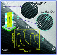 Graphical abstract: Concurrent enhancement in the H2 and UV sensing properties of ZnO nanostructures through discontinuous lattice coating of La3+via partial p–n junction formation