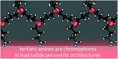Graphical abstract: Electronic implications of organic nitrogen lone pairs in lead iodide perovskites