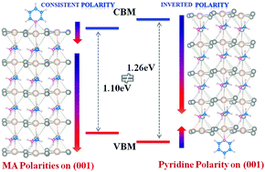 Graphical abstract: The electronic properties of CH3NH3PbI3 perovskite surfaces tuned by inverted polarities of pyridine and ethylamine