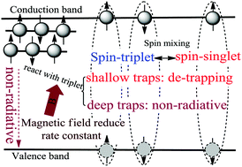 Graphical abstract: Exploring the role of spin-triplets and trap states in photovoltaic processes of perovskite solar cells