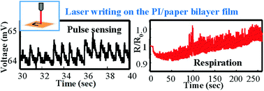 Graphical abstract: Force and humidity dual sensors fabricated by laser writing on polyimide/paper bilayer structure for pulse and respiration monitoring