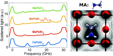 Graphical abstract: The effect of ionic composition on acoustic phonon speeds in hybrid perovskites from Brillouin spectroscopy and density functional theory