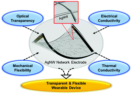 Graphical abstract: Recent progress in silver nanowire based flexible/wearable optoelectronics