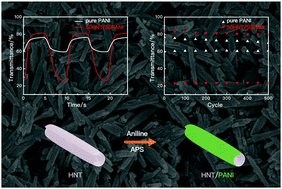 Graphical abstract: Core/shell structured halloysite/polyaniline nanotubes with enhanced electrochromic properties