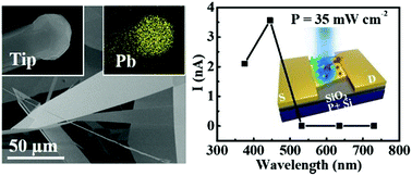 Graphical abstract: Two-step vapor deposition of self-catalyzed large-size PbI2 nanobelts for high-performance photodetectors