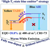 Graphical abstract: Efficient triplet harvesting in fluorescence–TADF hybrid warm-white organic light-emitting diodes with a fully non-doped device configuration