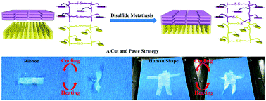 Graphical abstract: A cut-and-paste strategy towards liquid crystal elastomers with complex shape morphing