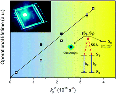Graphical abstract: A high fluorescence rate is key for stable blue organic light-emitting diodes