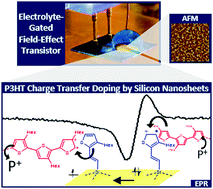 Graphical abstract: Charge transfer doping in functionalized silicon nanosheets/P3HT hybrid material for applications in electrolyte-gated field-effect transistors