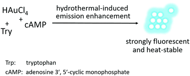 Graphical abstract: Ultrabright, highly heat-stable gold nanoclusters through functional ligands and hydrothermally-induced luminescence enhancement