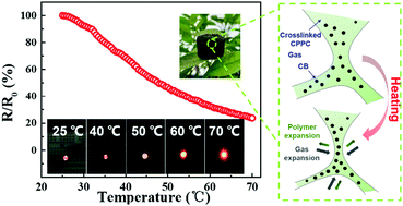 Graphical abstract: Lightweight and conductive carbon black/chlorinated poly(propylene carbonate) foams with a remarkable negative temperature coefficient effect of resistance for temperature sensor applications
