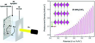 Graphical abstract: Ultra-stable 2D layered methylammonium cadmium trihalide perovskite photoelectrodes