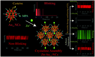 Graphical abstract: Crystalline nanoscale assembly of gold clusters for reversible storage and sensing of CO2via modulation of photoluminescence intermittency