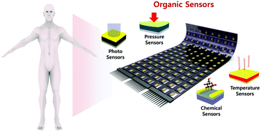 Graphical abstract: Recent advances in organic sensors for health self-monitoring systems