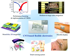 Graphical abstract: Carbon nanotube-based flexible electronics