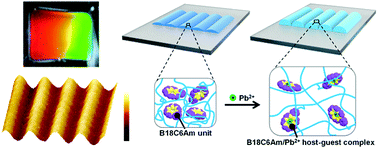 Graphical abstract: Ultrasensitive diffraction gratings based on smart hydrogels for highly selective and rapid detection of trace heavy metal ions