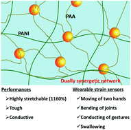 Graphical abstract: Extremely stretchable and electrically conductive hydrogels with dually synergistic networks for wearable strain sensors