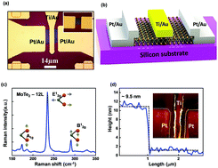 Graphical abstract: Few-layered α-MoTe2 Schottky junction for a high sensitivity chemical-vapour sensor