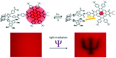 Graphical abstract: Fluorescence modulation by fast photochromism of a [2.2]paracyclophane-bridged imidazole dimer possessing a perylene bisimide moiety