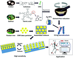 Graphical abstract: Templated synthesis of a 1D Ag nanohybrid in the solid state and its organized network for strain-sensing applications