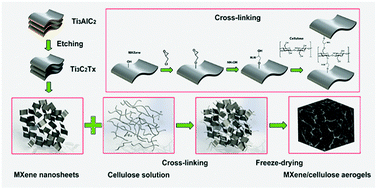 Graphical abstract: Hierarchically structured cellulose aerogels with interconnected MXene networks and their enhanced microwave absorption properties