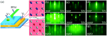 Graphical abstract: Epitaxial ferroelectric Hf0.5Zr0.5O2 thin film on a buffered YSZ substrate through interface reaction