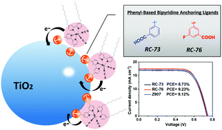 Graphical abstract: Ruthenium complexes as sensitizers with phenyl-based bipyridine anchoring ligands for efficient dye-sensitized solar cells