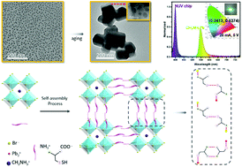 Graphical abstract: Hybrid organic–inorganic lead bromide perovskite supercrystals self-assembled with l-cysteine and their good luminescence properties