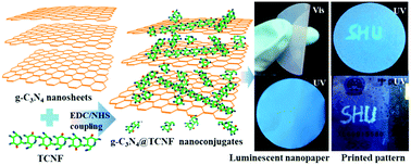 Graphical abstract: Transparent luminescent nanopaper based on g-C3N4 nanosheet grafted oxidized cellulose nanofibrils with excellent thermal and mechanical properties