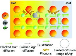 Graphical abstract: Ag doping induced abnormal lattice thermal conductivity in Cu2Se