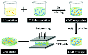 Graphical abstract: Aligned cellulose/nanodiamond plastics with high thermal conductivity