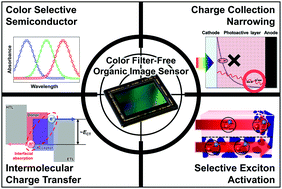 Graphical abstract: Prospects of colour selective organic photodiodes