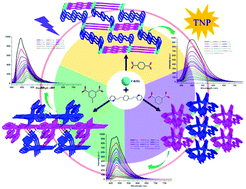 Graphical abstract: Cadmium(ii) coordination polymers based on 2-(4-((E)-2-(pyridine-2-yl)vinyl)styryl)pyridine and dicarboxylate ligands as fluorescent sensors for TNP