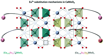 Graphical abstract: Revealing the substitution mechanism in Eu3+:CaMoO4 and Eu3+,Na+:CaMoO4 phosphors