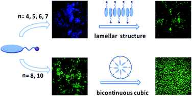 Graphical abstract: Highly ordered AIEgen directed silica hybrid mesostructures and their light-emitting behaviours