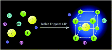 Graphical abstract: A simple and efficient phosphorescent probe for iodide-specific detection based on crystallization-induced phosphorescence of organic ionic crystals