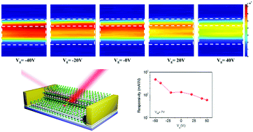 Graphical abstract: Field enhanced in-plane homostructure in a pure MoSe2 phototransistor for the efficient separation of photo-excited carriers