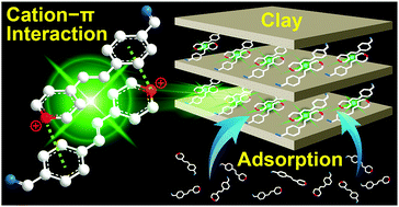 Graphical abstract: Direct observation of adsorption kinetics on clays by cation–π interaction-triggered aggregation luminescence