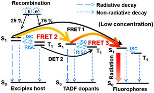 Graphical abstract: Triplet exciton harvesting by multi-process energy transfer in fluorescent organic light-emitting diodes